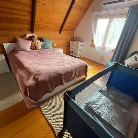 Haziko Vendeghaz/balatonfenyves * Balatonfenyves