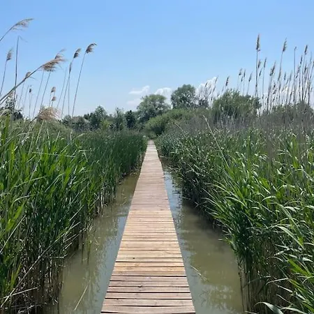 Dom wakacyjny Haziko Vendeghaz/balatonfenyves *