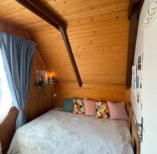 Haziko Vendeghaz/balatonfenyves 펜션 *