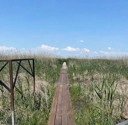 Haziko Vendeghaz/balatonfenyves *