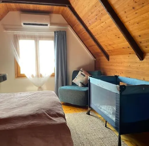Haziko Vendeghaz/balatonfenyves Holiday home *